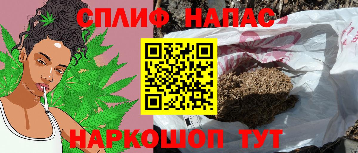 Бошки Шишки план Темрюк